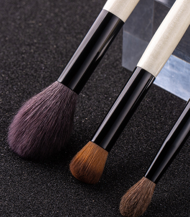 AOLANLA 9 makeup brush set foundation concealer brush powder blush