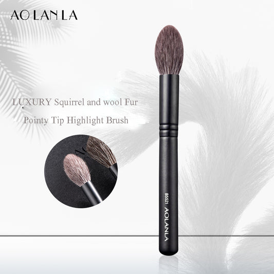 Aolanla ZHUMO Series Eyeshadow Pointy Tip Highlight brushes Portable Beauty Tool B5521 Single Pack