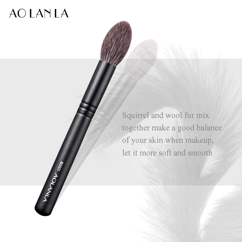 Aolanla ZHUMO Series Eyeshadow Pointy Tip Highlight brushes Portable Beauty Tool B5521 Single Pack